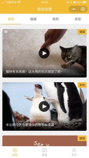 吸寵吧小程序設(shè)計(jì)圖1