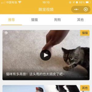 【吸寵吧】寵物小程序開(kāi)發(fā)方案分析