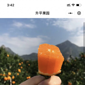 資訊小程序制作_【升平果園涌泉蜜桔采摘園】小程序開發者是誰