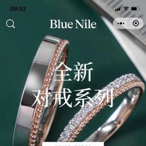 藝術公眾號開發設計分析【BlueNile】