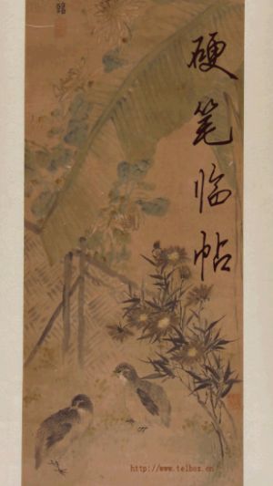 學習教育APP定制開發項目分析-硬筆臨帖