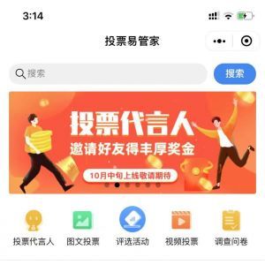 工具小程序制作_【投票易管家】小程序的圖標