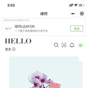 【綠符LEAFOR】小程序的圖標(biāo)_生活小程序制作