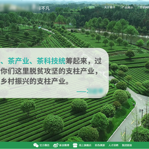 茶葉網站建設湘*茶業集團有限公司H5網站設計案例作品