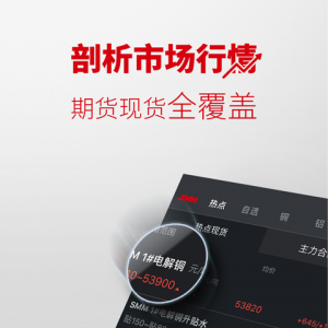 金融理財APP開發項目分析-掌上有色